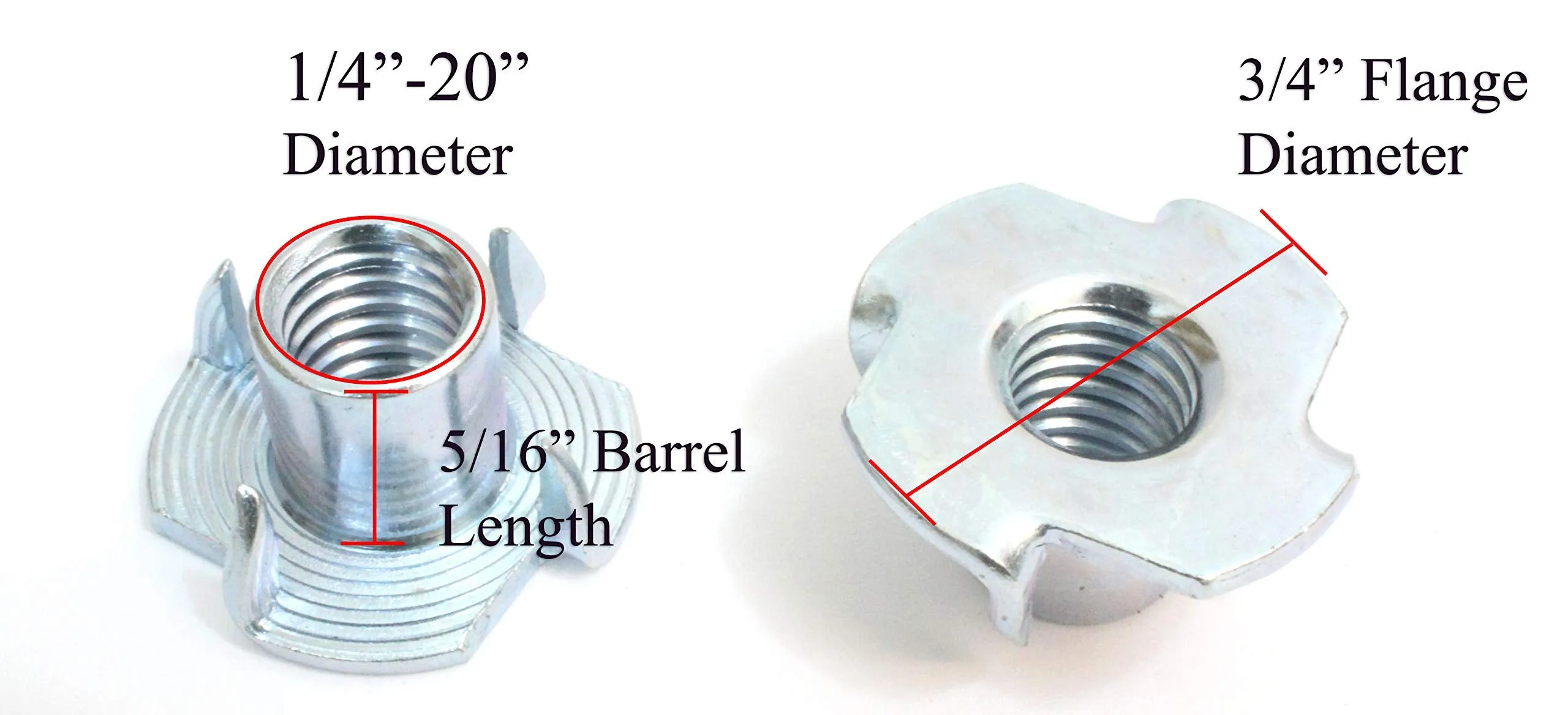 1/4"-20 T-Nuts | 100pc | by Bolt Dropper, Pronged Tee Nut. for Wood, Rock Climbing Holds