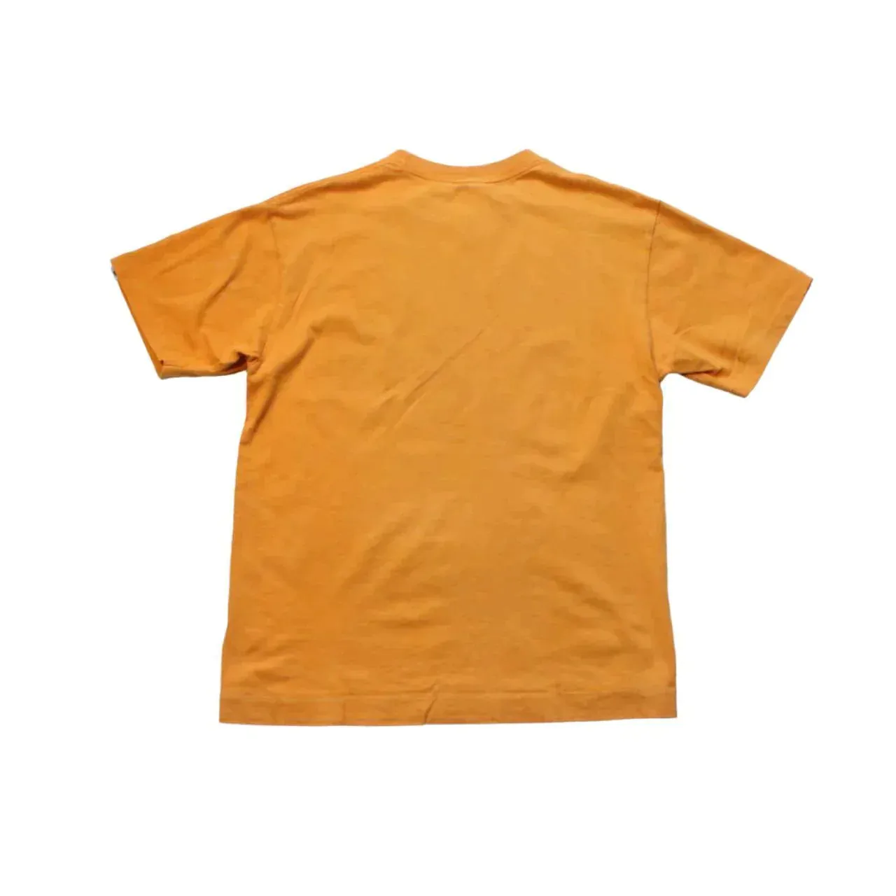 BATHING APE SHARK TEE  (M)