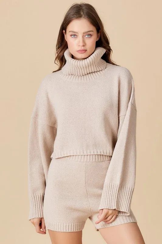 Cream Turtleneck Ribbed Slv Sweater