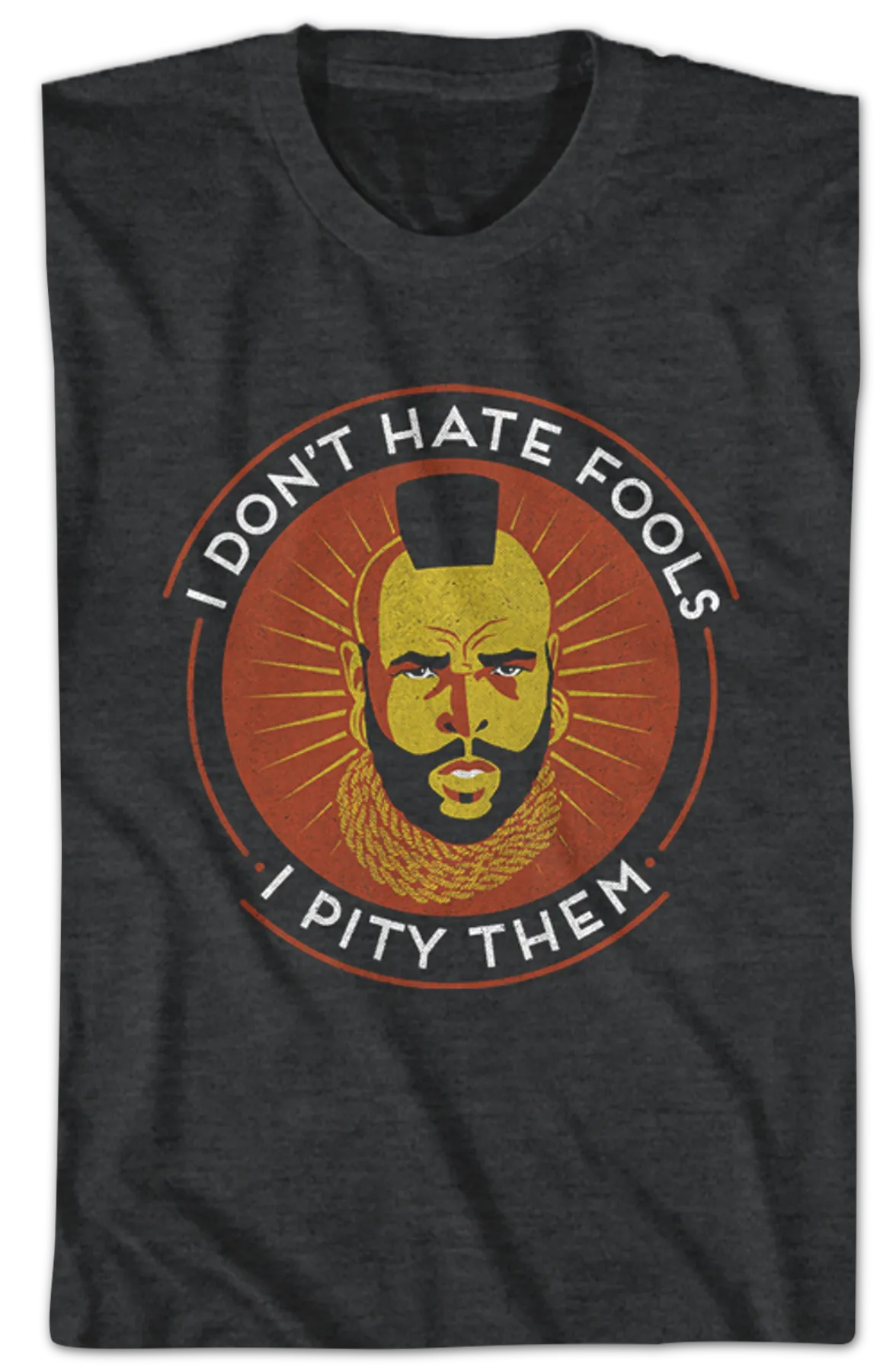 Don't Hate Fools Mr. T Shirt