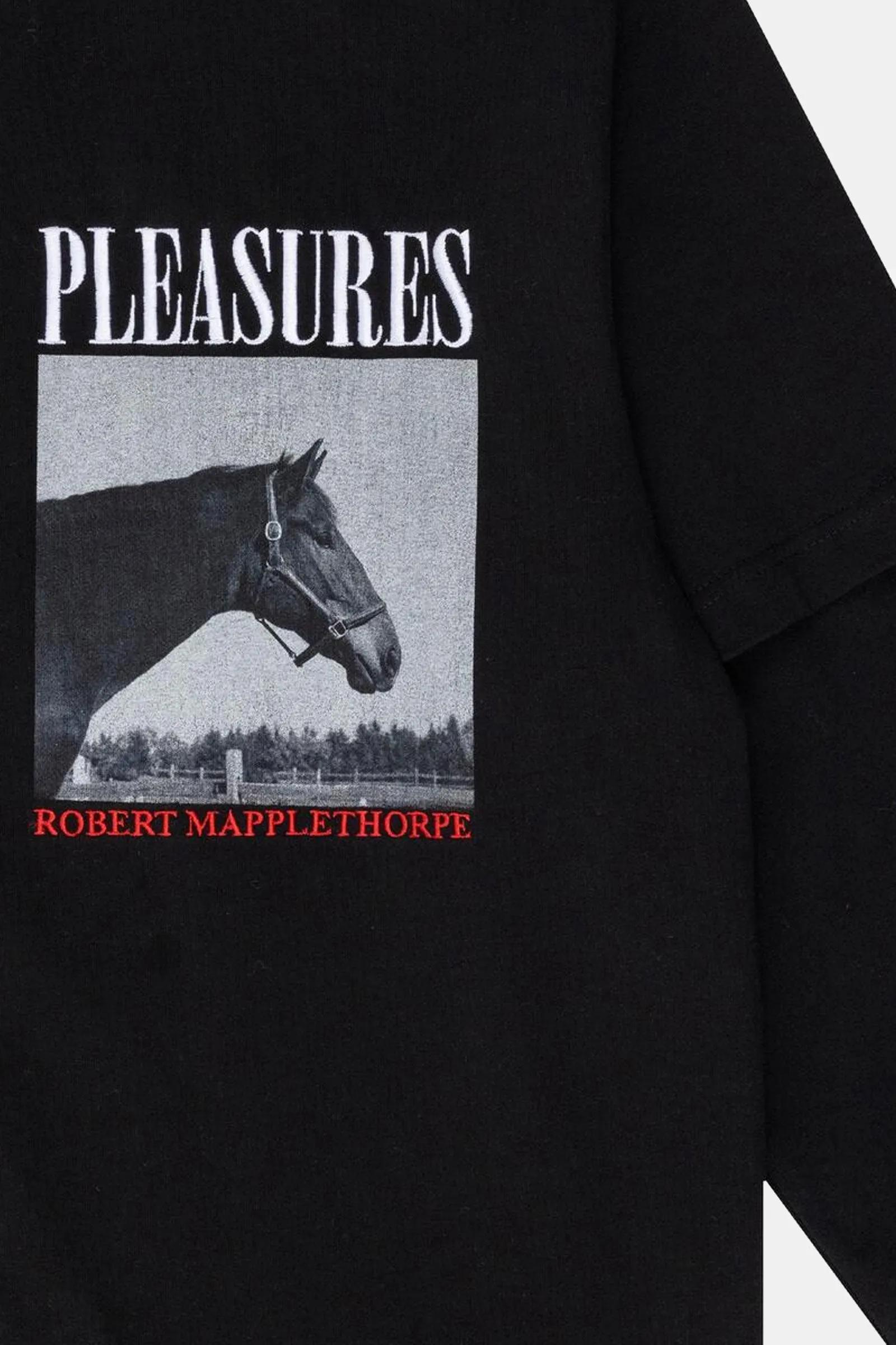 Horses Layered Long Sleeve