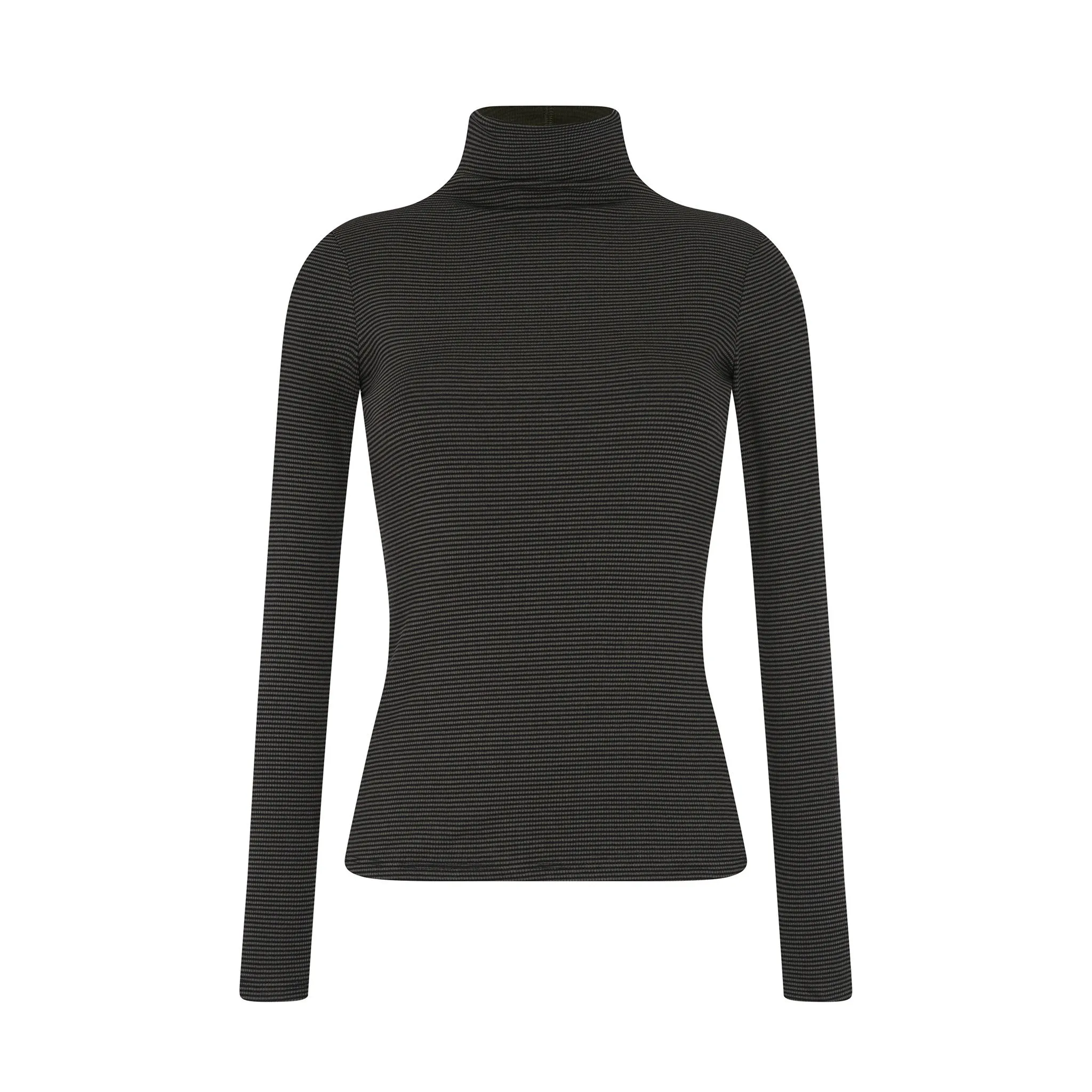 Striped Fitted Turtleneck