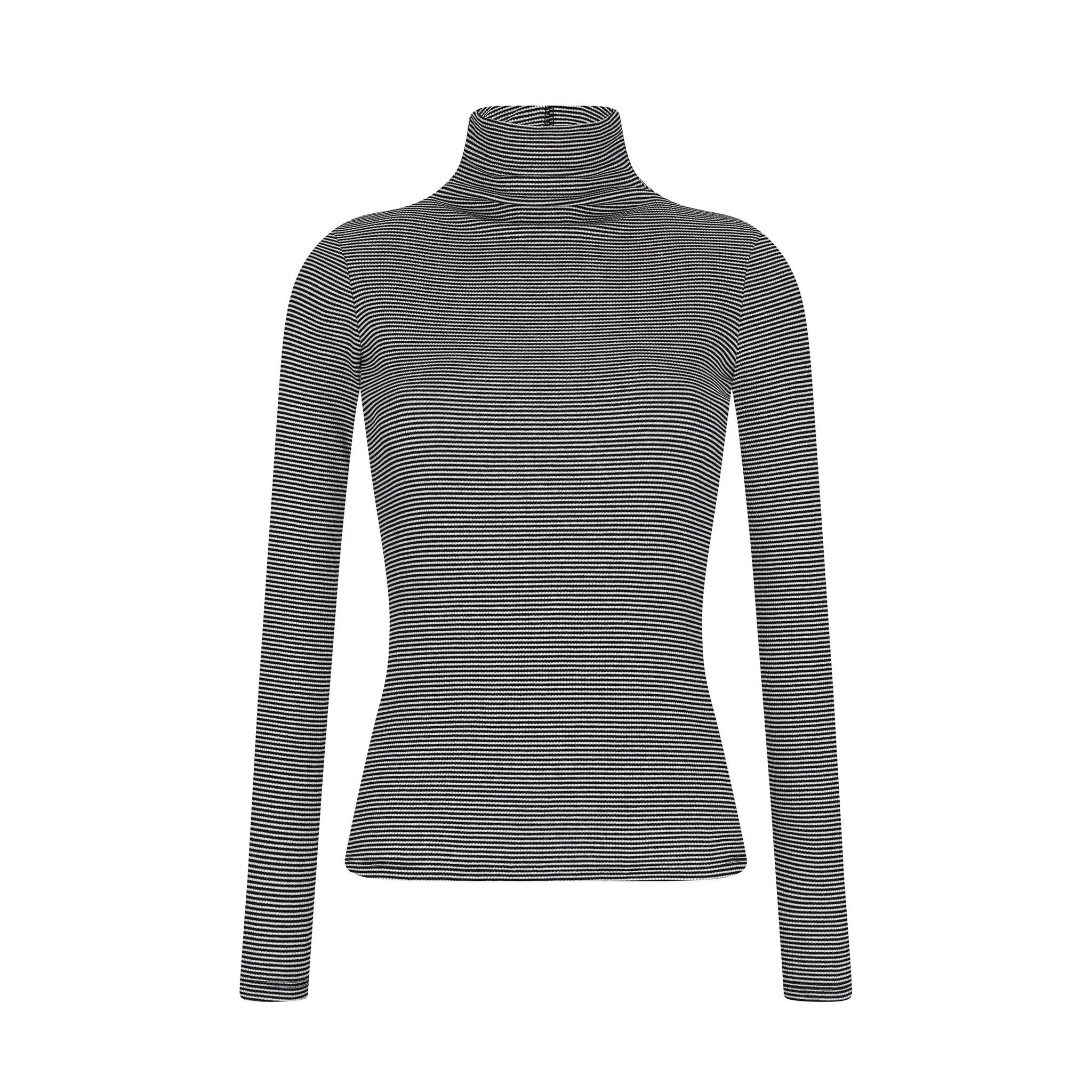 Striped Fitted Turtleneck