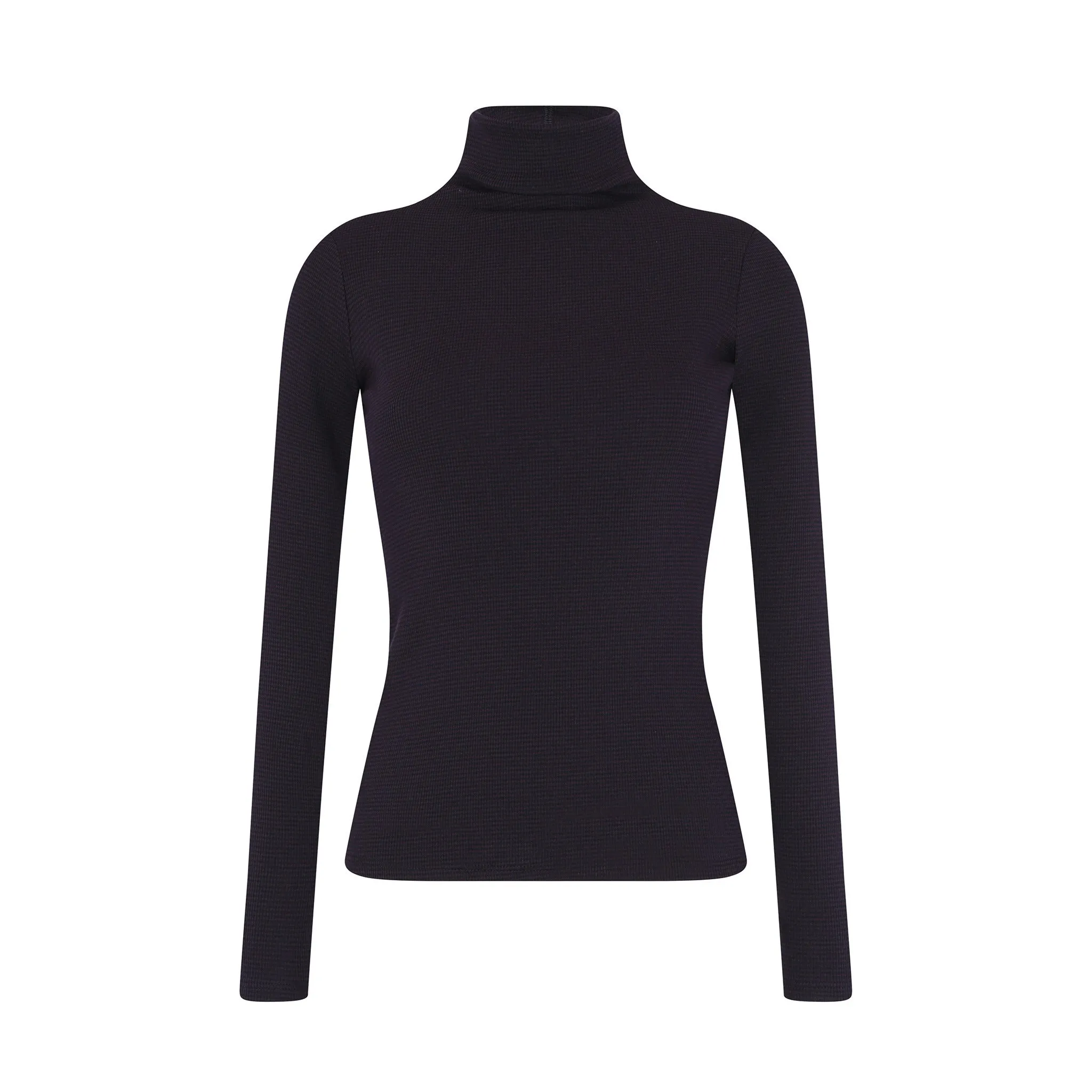 Striped Fitted Turtleneck